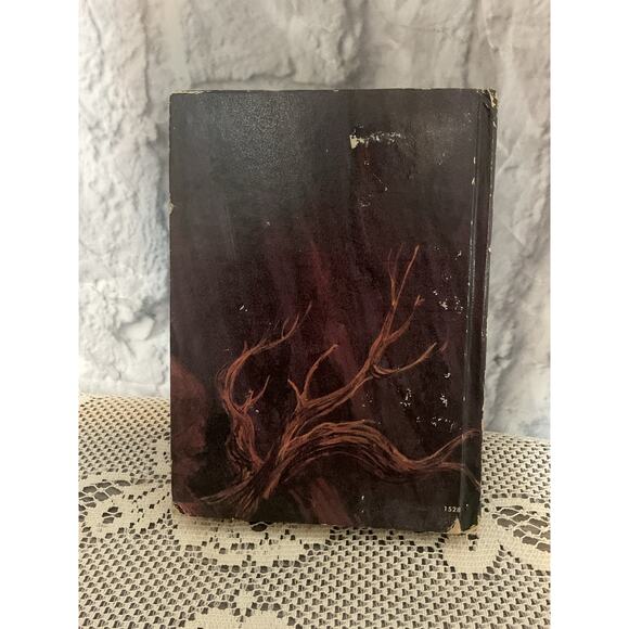 1954 The Jinx of Payrock Canyon Hardback By Troy Nesbit - Picture 3 of 10